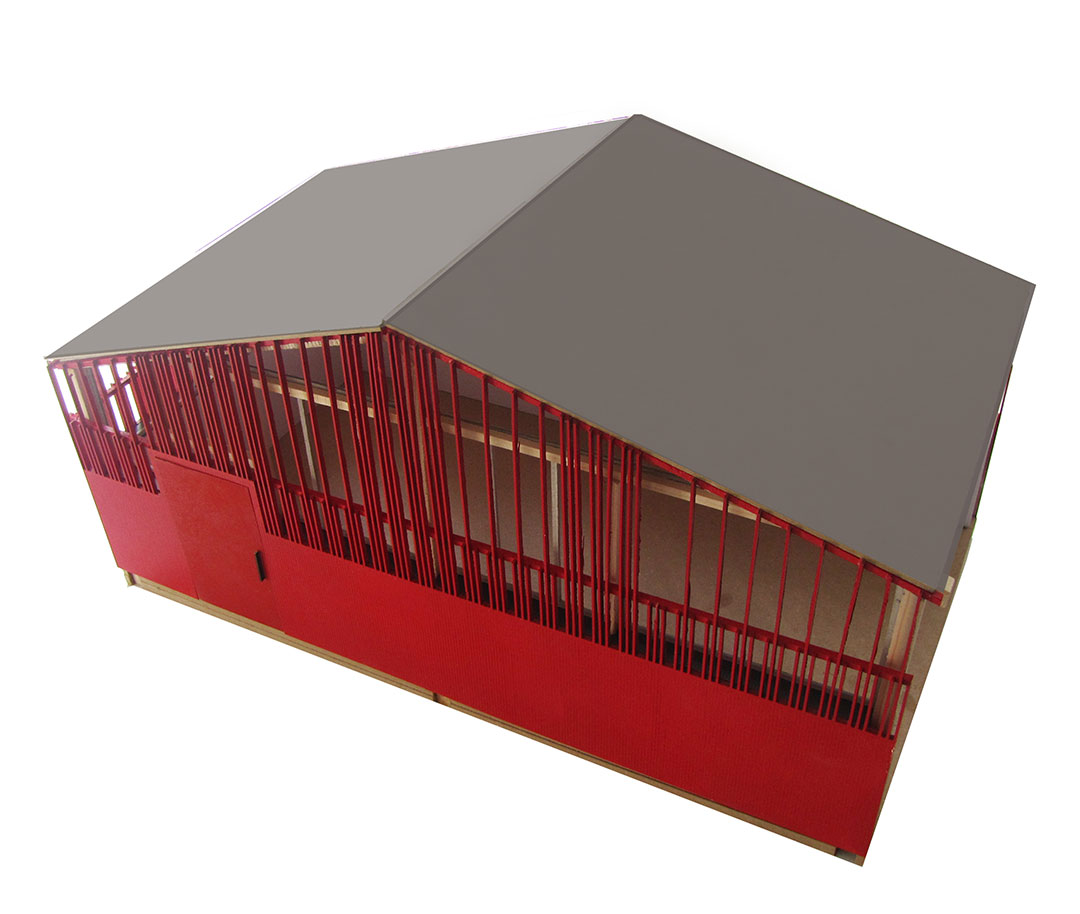 Pico model